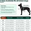 Hundebody Nach Op, Hundebody Nach Kastration Rüde Produktbild-Vorschau 2