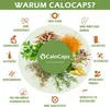 CaloCaps PRE WEIGHT GAINER Appetitanreger Kapseln zur Produktbild-Vorschau 6