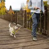 Ruffwear Flagline Geschirr Lichen Green M Produktbild-Vorschau 5