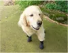 INF Scarpe Impermeabili Antiscivolo per Cani - Set da 4, Anteprima dell’immagine prodotto 6