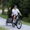 Qeridoo Qubee XL Cargo / Lastenanhänger, Farbe:Grey Produktbild-Vorschau 12
