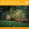 Paulmann Faretto LED solare Solena Anteprima dell’immagine prodotto 6