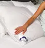 Kopfkissen 3 Kammer 80x80 cm Daunen + Federn Kissen 1600g Produktbild-Vorschau 7