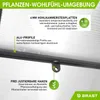 BRAST Gewächshaus Aluminium mit Fundament | 380x250x205cm | Produktbild-Vorschau 2