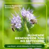 Phacelia Gründünger 2 kg Produktbild-Vorschau 6
