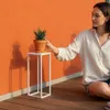 DanDiBo Sgabello per fiori in metallo bianco quadrato da 50 Anteprima dell’immagine prodotto 4