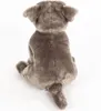Pitbull sitzend 30 cm grau Kuscheltier Hund American Produktbild-Vorschau 4