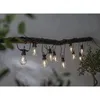 A string of party lights with exposed filament bulbs hangs from a branch. Podgląd zdjęcia produktu