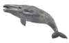 Collecta Szary Wieloryb - Collecta - Wysokiej jakości Podgląd zdjęcia produktu 3