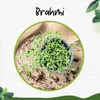 Enseleits Brahmi (Bacopa monnieri), Marktfrische Pflanze Produktbild-Vorschau 3
