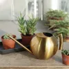 1000 ml Edelstahl-Gießkanne mit langem Ausguss, Gold – Produktbild-Vorschau 6