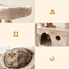 A collage of images showing a cat tree and cats. Anteprima dell’immagine prodotto