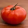 Fleischtomaten Marmande Samen - Solanum lycopersicum - Produktbild-Vorschau 5