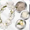 EDIBAZZAR | Kranz Stirnband Haarblumen Weiße Rosen Boho Produktbild-Vorschau 2