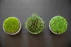 Plastia Urbalive Keimsprosskit für Microgreens, Elfenbein Produktbild-Vorschau 18