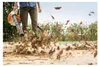 Stihl BG 56, Handgehaltenes Gebläse, 255,6 km/h, 255,6 Produktbild-Vorschau 10