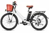 Vélo électrique 26 pouces, modèle unisexe, vélo de ville à Voir les images du produit 2