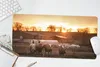 MuchoWow® Mauspad Mousepad Bauernhof - Sonne - Schwein Produktbild-Vorschau 5