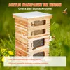 SucceBuy zestaw startowy 40 ramek, drewno cedrowe pokryte Podgląd zdjęcia produktu 3