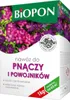 Nawóz do powojników i bluszczu 1kg Podgląd zdjęcia produktu 3