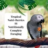 Lafeber NutriBerries Tropical Fruit- Pokarm: ziarno z Podgląd zdjęcia produktu 3