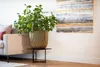 A large potted plant sits on a small black stand next to a sofa, with abstract art on the wall behind it. Náhľad obrázku produktu
