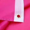 LGBT Regenbogenflagge groß 90 x 150 cm Pansexualität F2 Produktbild-Vorschau 8