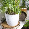 Blähton Drainagegranulat Garten 5L 10-20mm Produktbild-Vorschau 6