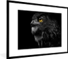 MuchoWow® Gerahmtes Poster Eule - Vogel - Schwarz - Porträt Produktbild-Vorschau 1