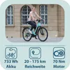 Tretwerk Amber E Bike Donna Bicicletta elettrica da 28 Anteprima dell’immagine prodotto 3