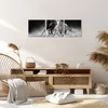 Bild auf Leinwand - Leinwandbild - 3 Teile - Andalusier Produktbild-Vorschau 7