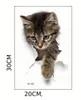 GKA WC Deckel Aufkleber süße Katze grau Toilettendeckel Produktbild-Vorschau 4