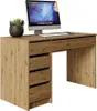 A desk with a computer, keyboard, mouse, and a potted plant. Náhled obrázku produktu