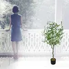 Decovego Künstlicher Olivenbaum, naturtreue Optik, Produktbild-Vorschau 4