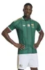 Adidas Trikot SAFA A Grün Produktbild-Vorschau 3