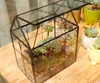 Handgefertigtes terrarium in Hausform mit schwingendem Produktbild-Vorschau 2