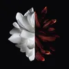 Givenchy L'Interdit, para mujeres, 80 ml, botella no Vista previa de la imagen del producto 14