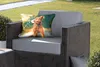 MuchoWow® Outdoor Kissen - Nass - Hund - Wasser - 50x30 cm Produktbild-Vorschau 5