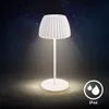 Briloner RIFFLE Mini Lampada da tavolo LED senza fili IP44, Anteprima dell’immagine prodotto 11