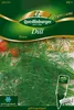 Dill Diana | Dillsamen von Quedlinburger Produktbild-Vorschau 1
