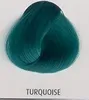 La Richè Directions Turquoise 89 ml Produktbild-Vorschau 2