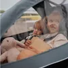 Lionelo 2in1 Fahrradanhänger und Kinderwagen Produktbild-Vorschau 5