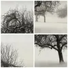 Bild auf Leinwand - Leinwandbild - 4 Teile - Bäume Schnee Produktbild-Vorschau 8