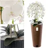 Orchidea artificiale a cascata bianca in vaso marrone H 110 Anteprima dell’immagine prodotto 2
