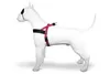 Morso Norwegian Hondentuig Gerecycled Bubble Leo Roze Produktbild-Vorschau 2