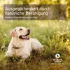 AniForte Wohlfühl Globuli - Bachblüten für Hunde, Katzen, Produktbild-Vorschau 5