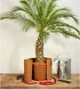Pflanzenheizung L  10 m (8 m heizbar), 40 Watt Produktbild-Vorschau 2