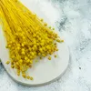 Flachs Getrocknete - (Leinen) - Gelb Produktbild-Vorschau 6