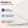 Daunenkissen 80x80 cm, Kissen 60% Gänsedaunen / 40% Produktbild-Vorschau 6
