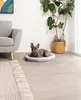 lionto Hundekörbchen rund, Ø 65 cm, waschbarer Bezug, grau Produktbild-Vorschau 2